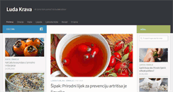 Desktop Screenshot of ludakrava.com
