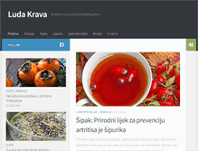 Tablet Screenshot of ludakrava.com